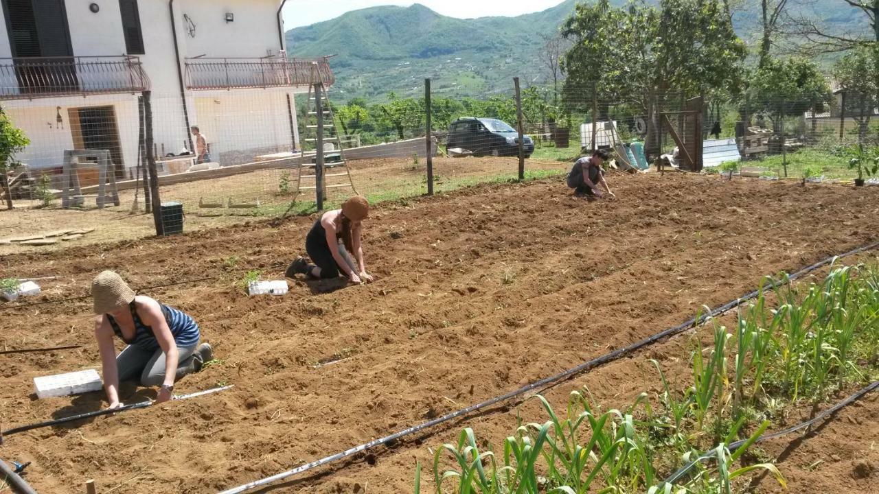 Giffoni Sei CasaliL'Arcadia住宿加早餐旅馆 外观 照片